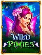 Golden Toad ทดลองเล่นฟรี เพื่อนักปั่นที่อยากสัมผัส